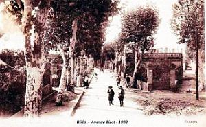 Blida - Avenue Bizot - 1900